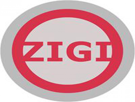 ZIGI INTERNATIONAL