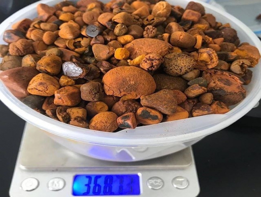 Ox gallstones suppliers, Abu Kabir -  Egypt