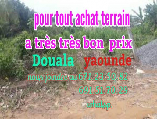 Achat de terrain à douala et Yaounde, Douala -  Cameroun