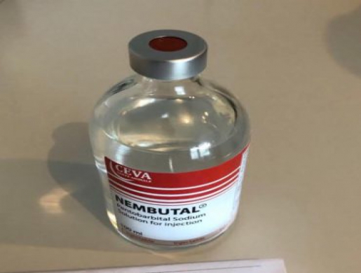 Buy Nembutal Sodium Pentobarbital, Hluti -  Swaziland