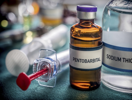 Buy Nembutal Sodium Pentobarbital, Hluti -  Swaziland