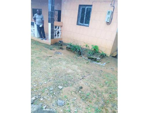 duplex a vendre Douala / quatier Harry, Douala -  Cameroun