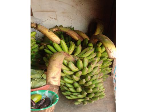 Fresh matooke, Entebbe -  Uganda