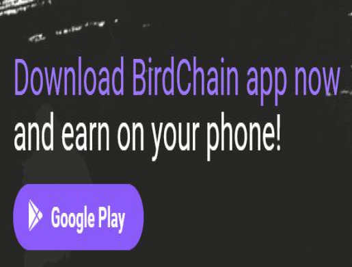 Have you heard about BirdChain, and do you really know what BirdChain is all about?, Berbérati - Centrafrique