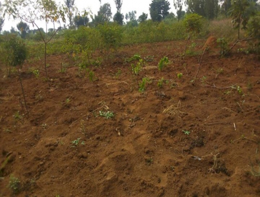 Ikibanza cyiza i Nyamata, Kigali -  Rwanda