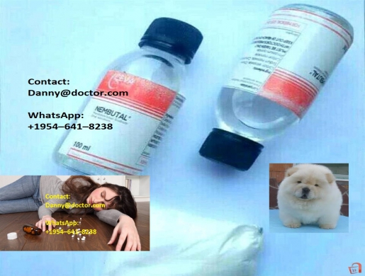 Nembutal Pentobarbital sodium liquid powder for sale E-mail: Danny@doctor.com, Cairo -  Egypt