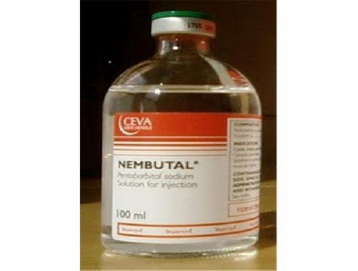 Order Nembutal Sodium, Nembutal Liquid, Nembutal Powder Online, Lagos -  Nigeria