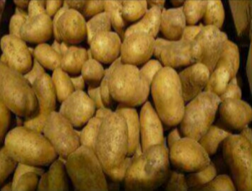 Pommes de terre, Dschang -  Cameroun
