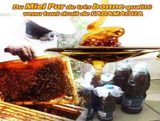 Pur miel , Douala -  Cameroun