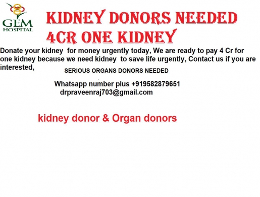 sell your kidney for cash, Nairobi -  Kenya