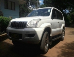 2005 Prado 