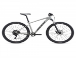 2021 GIANT TALON 2 MOUNTAIN BIKE