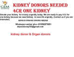 sell your kidney for cash