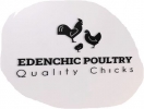 Edenchic Poultry, Webshops, Ruiru - Kenya